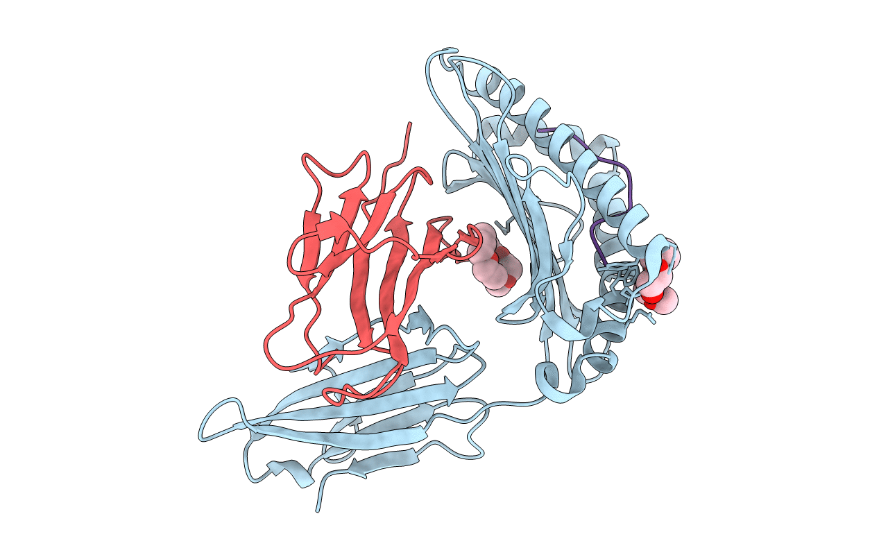 1I4F image