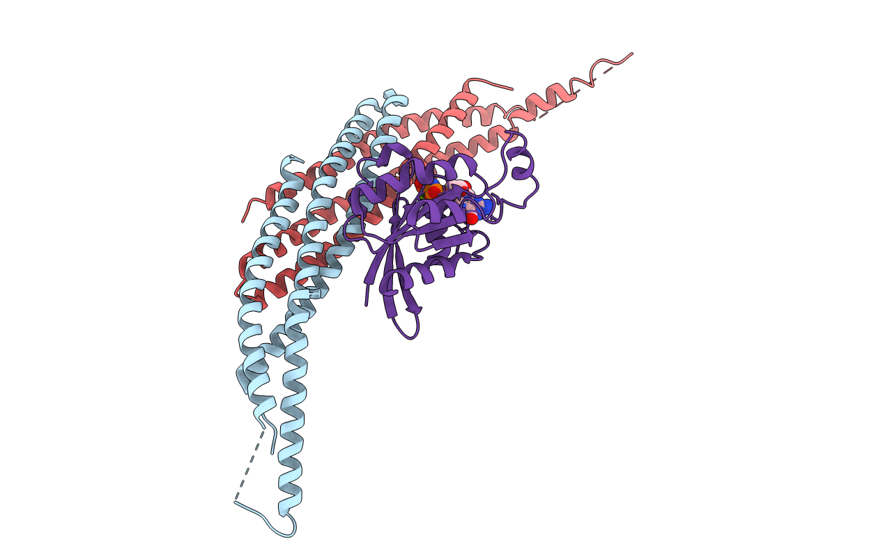1I4T image