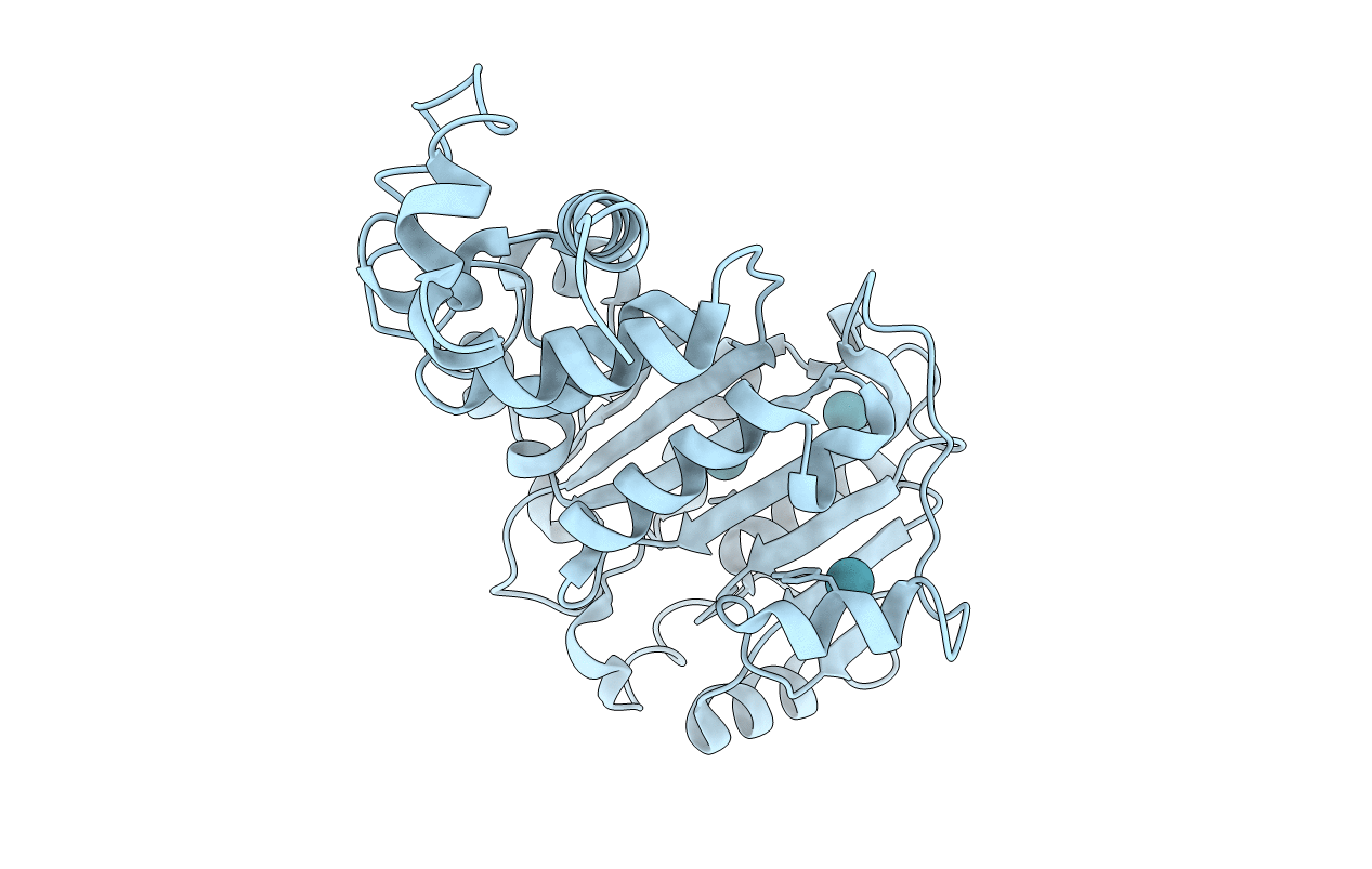 1I4W image