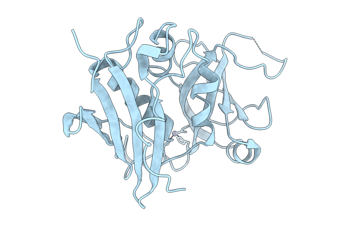 1I4X image