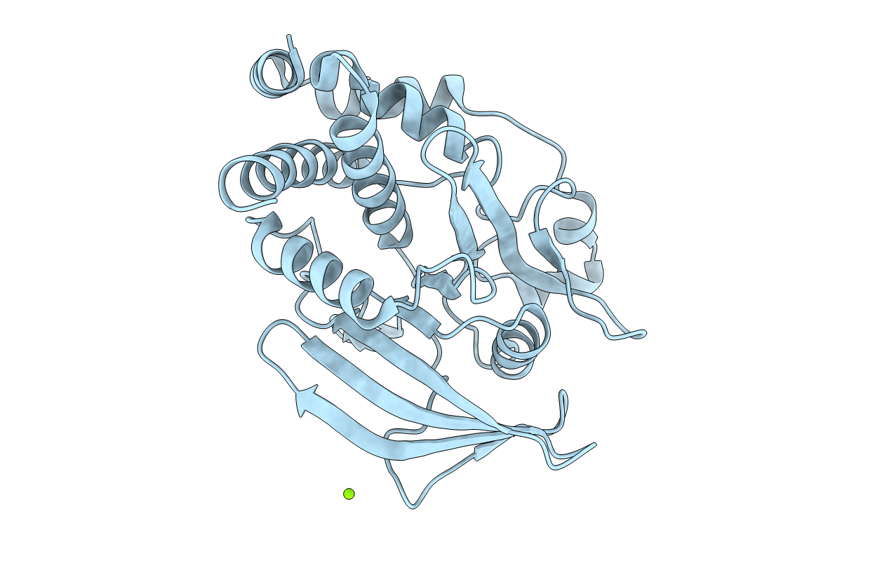 1I57 image