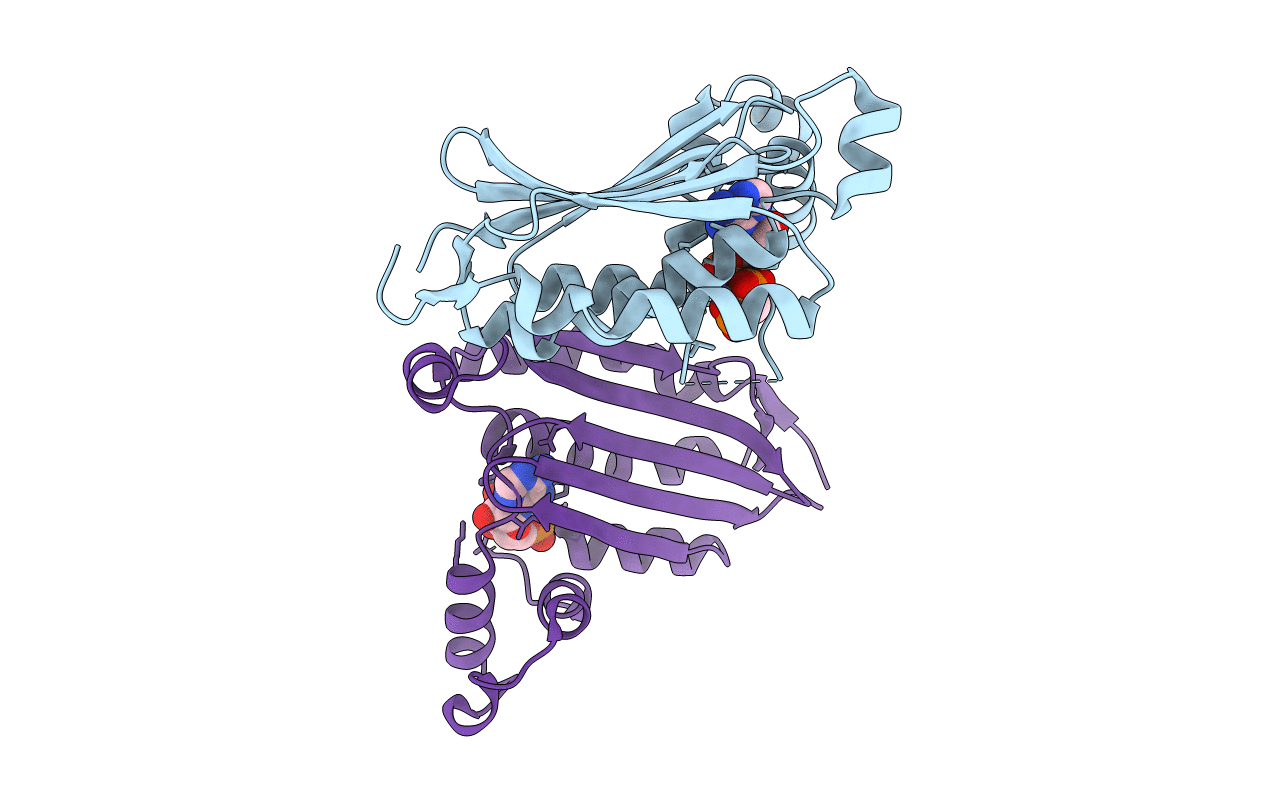 1I5A image