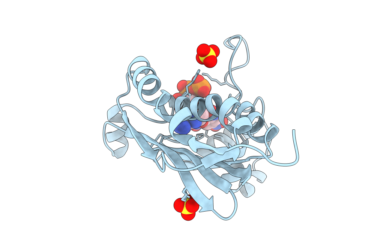 1I5D image