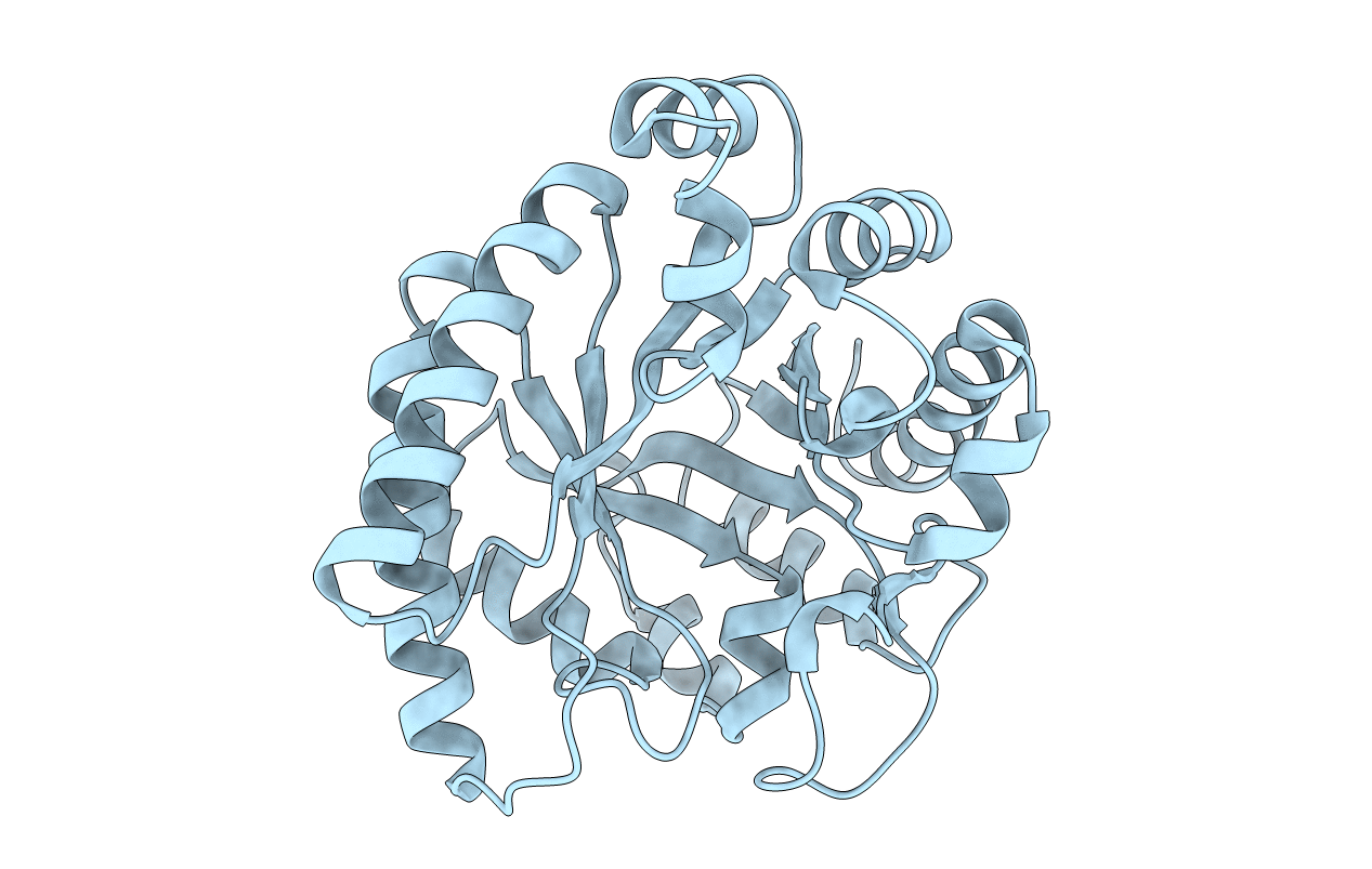 1I60 image