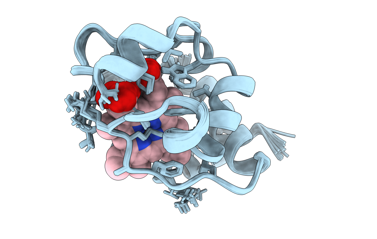 1I6d image