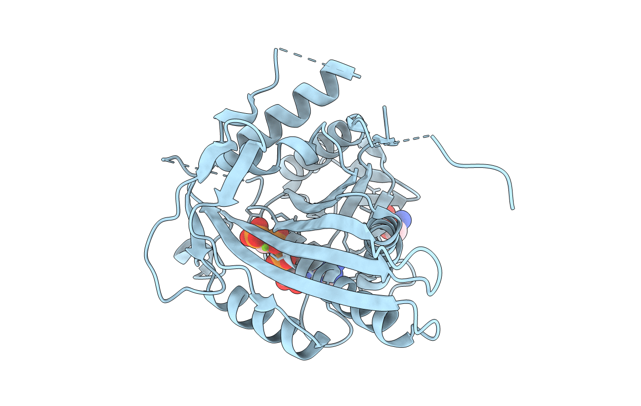 1I6I image