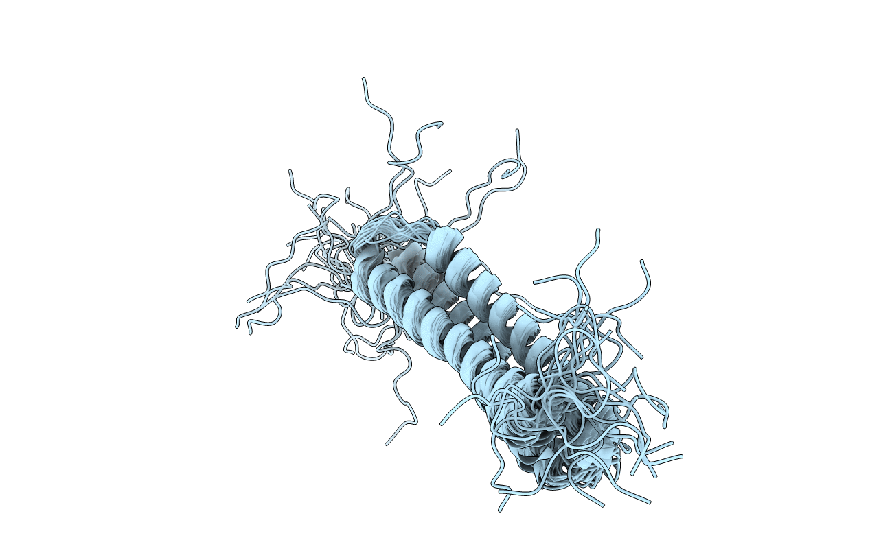 1I6Z image