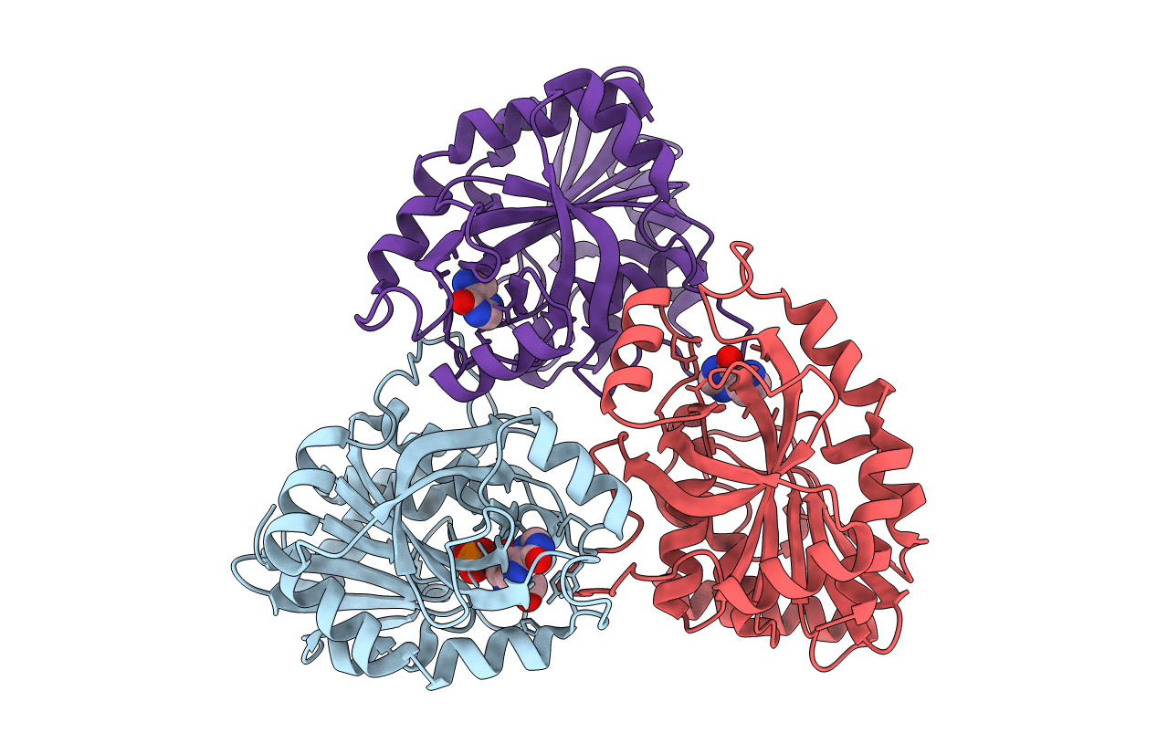 1I80 image