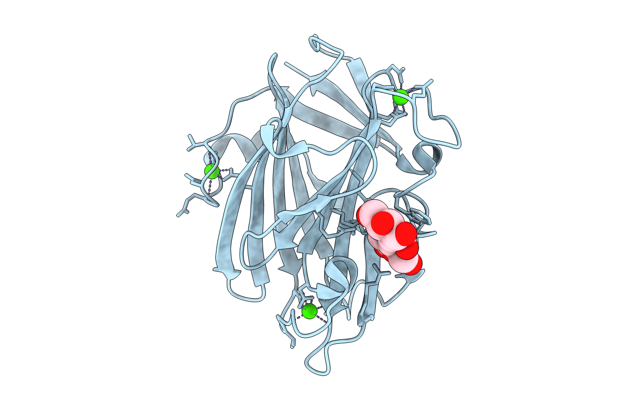 1I82 image