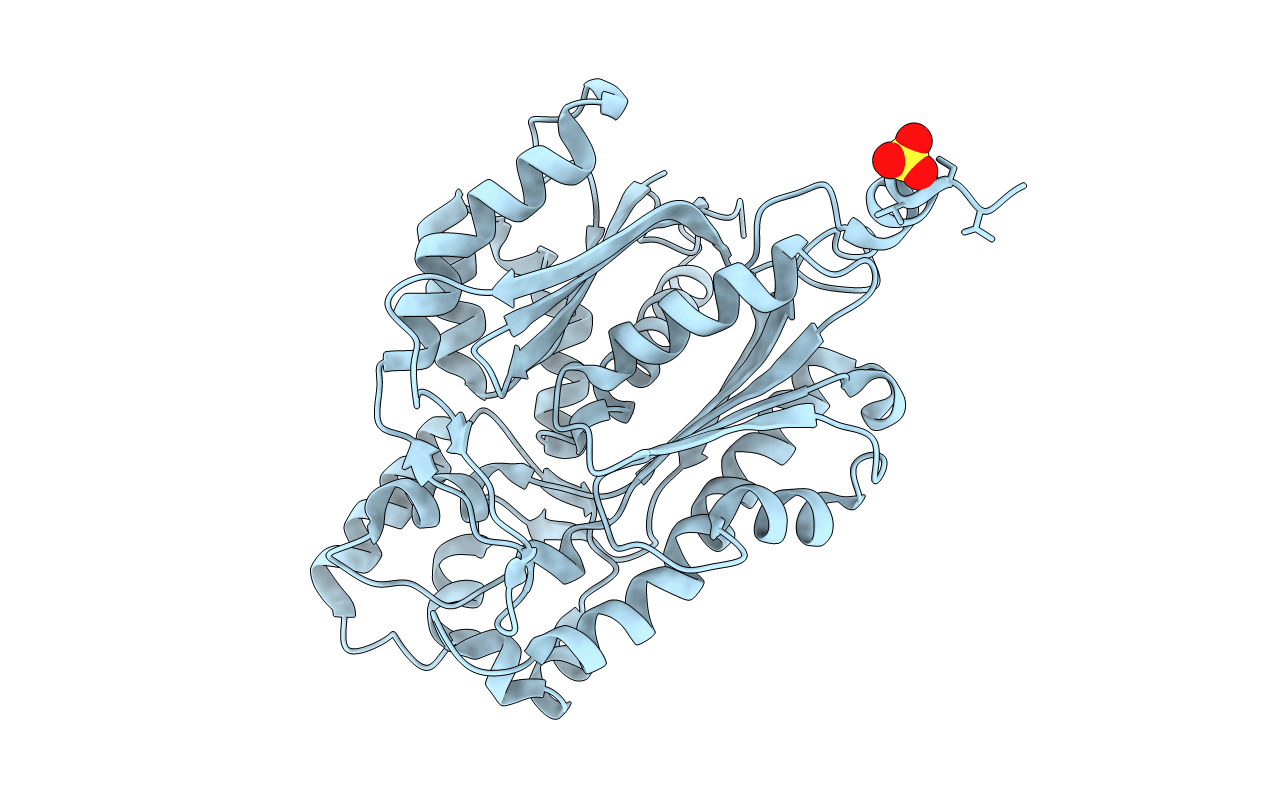 1I86 image