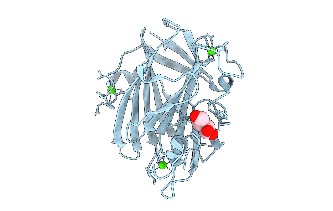 1I8A image