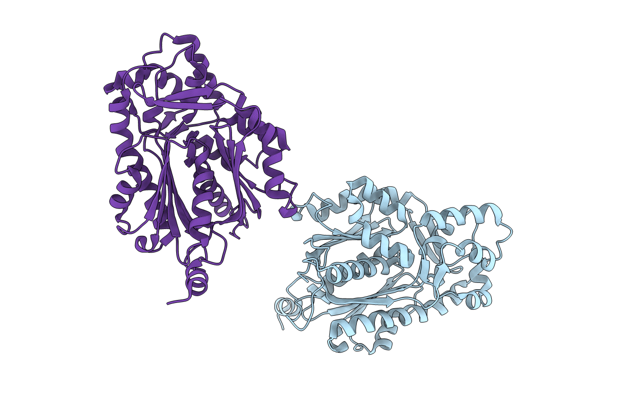 1I8B image