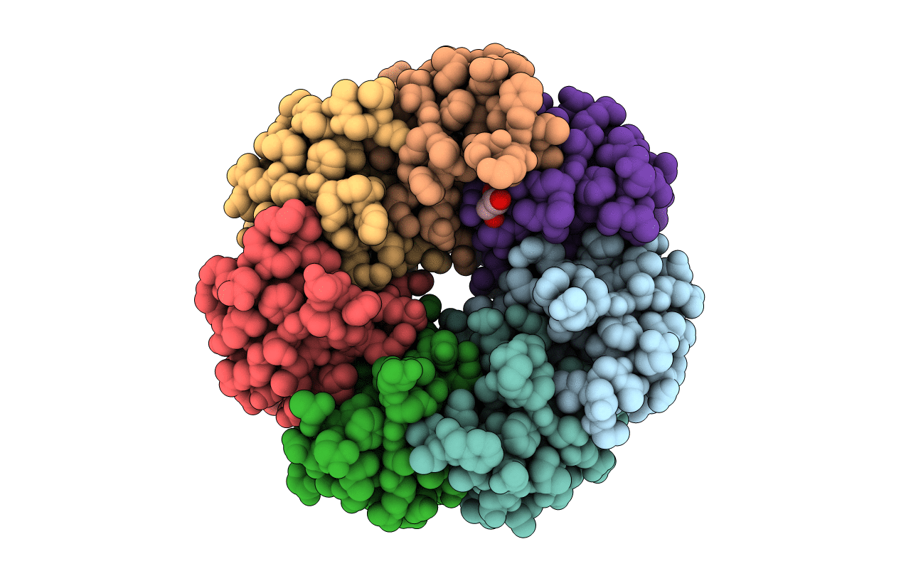 1I8F image