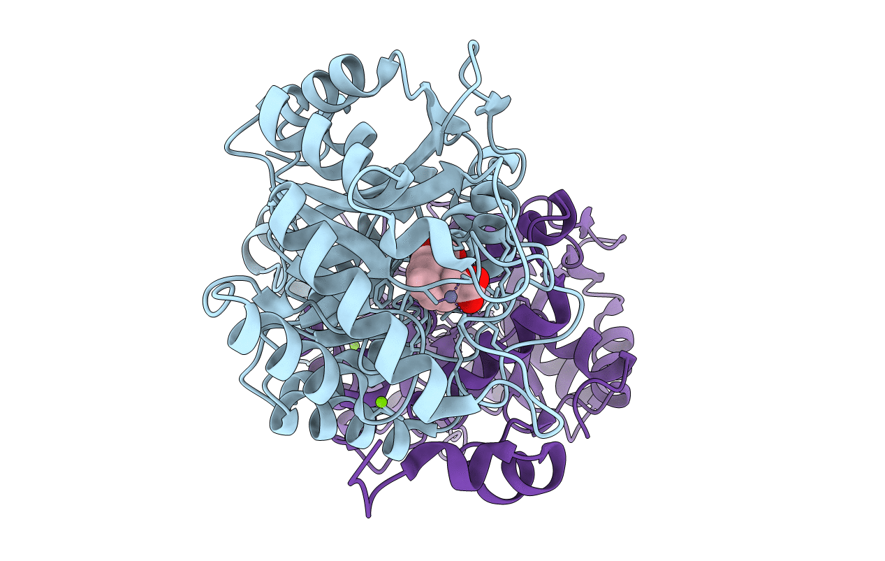1I8J image