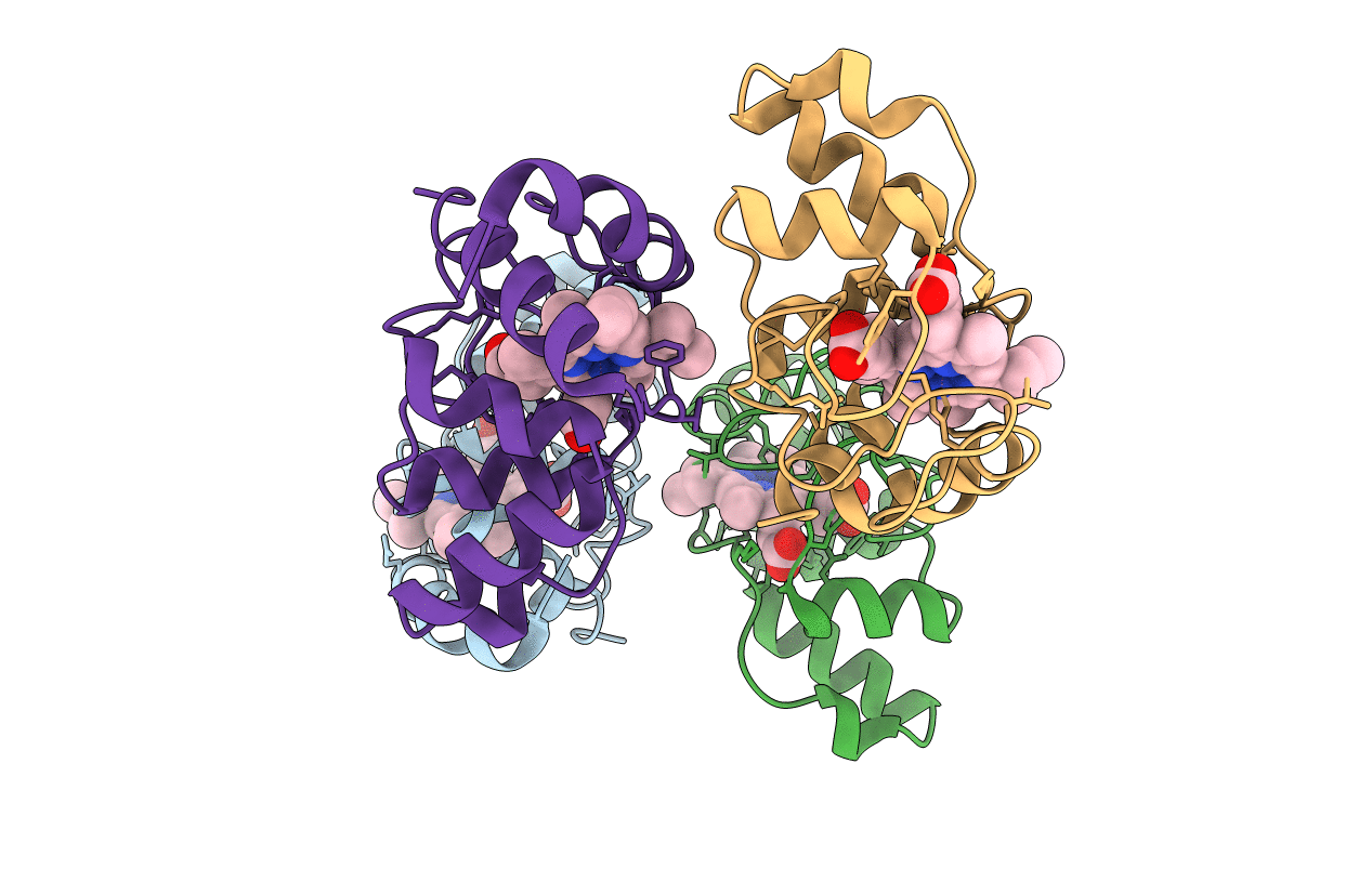 1I8P image
