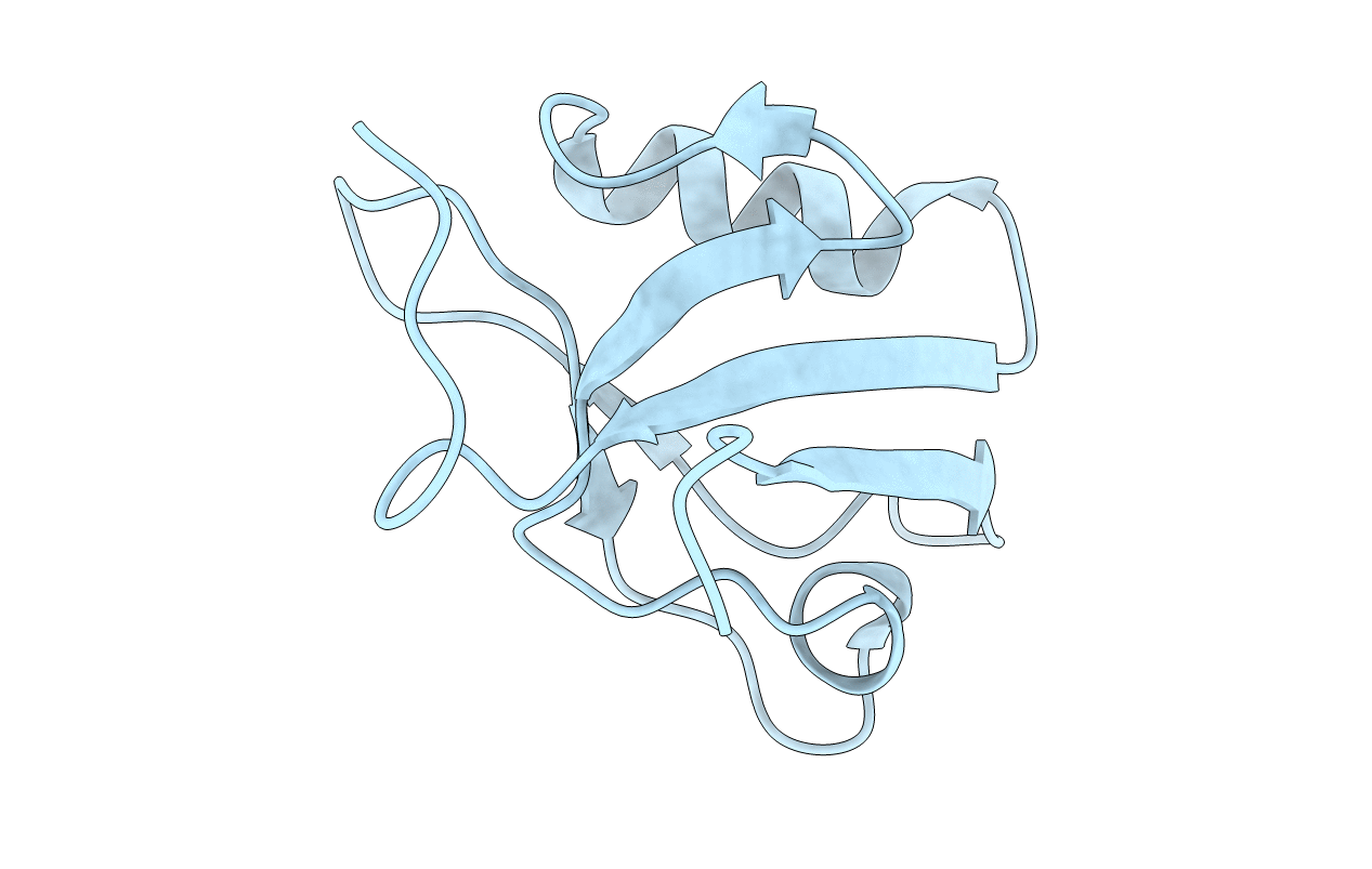 1I92 image