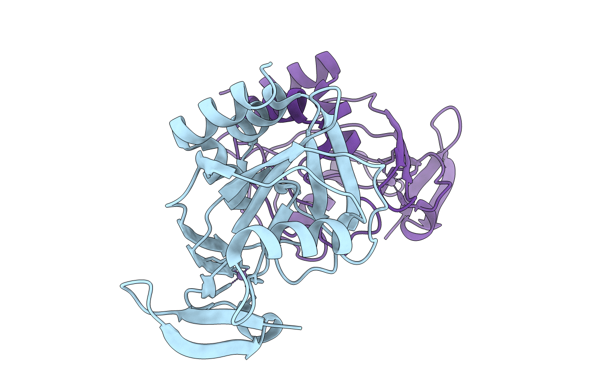 1I9A image