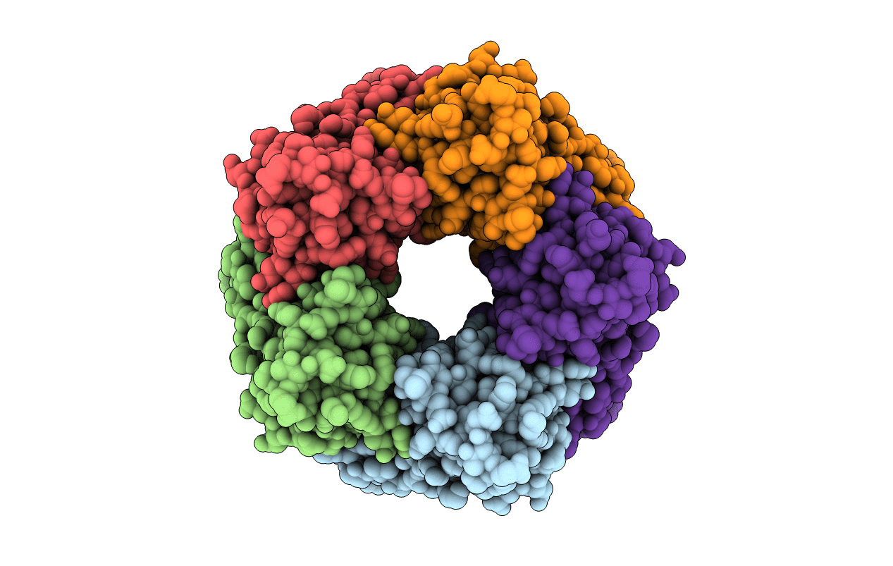 1I9B image