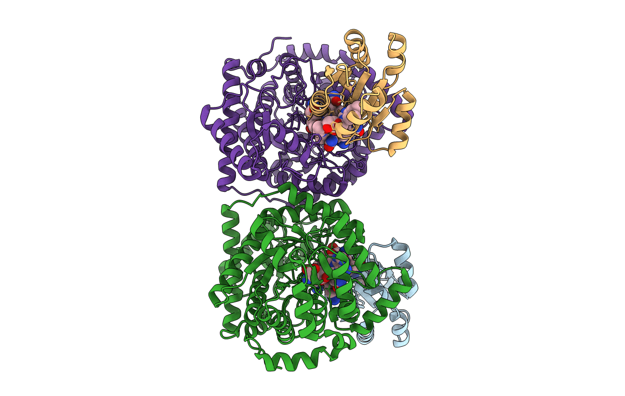 1I9C image