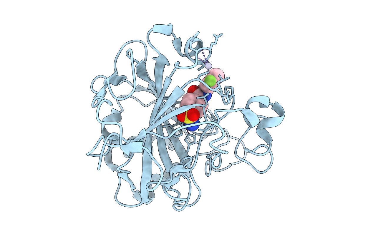 1I9N image