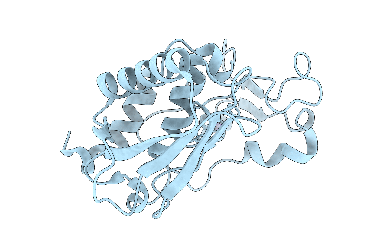 1IAC image