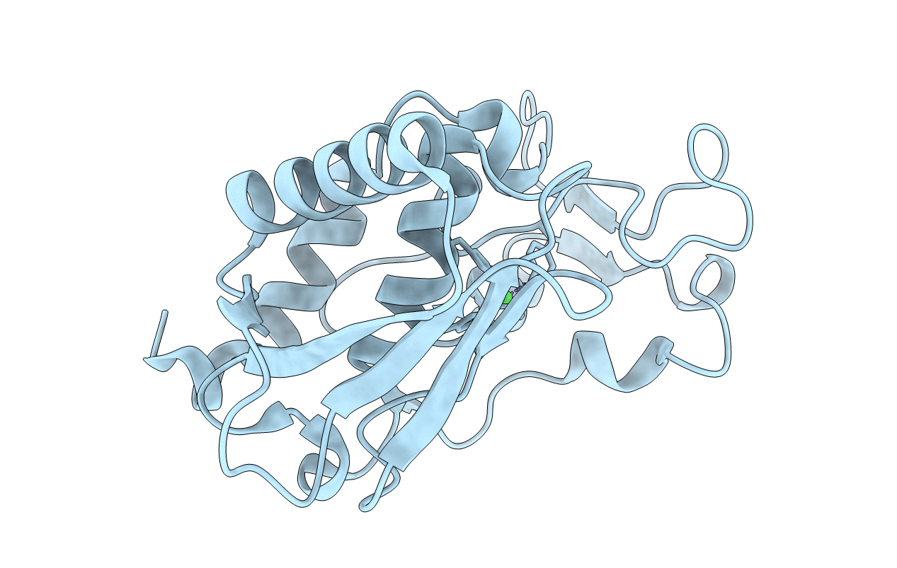 1IAE image