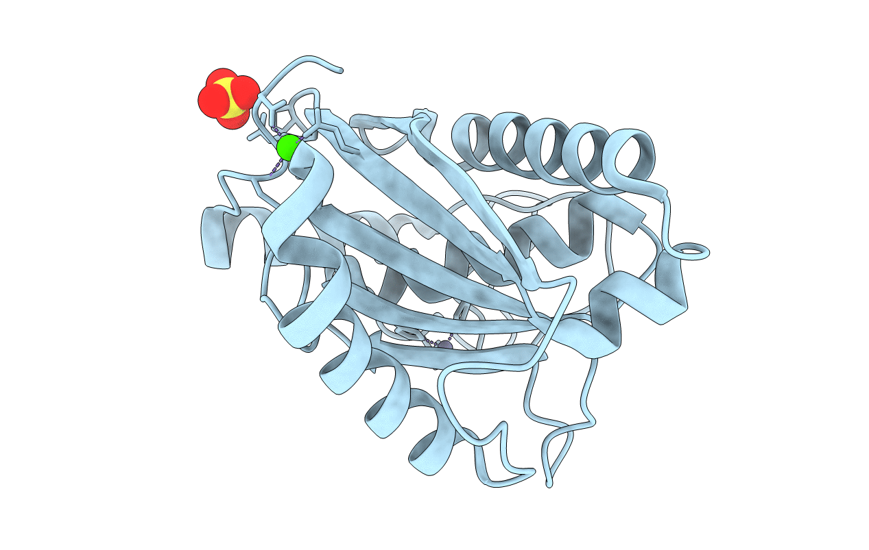 1IAG image
