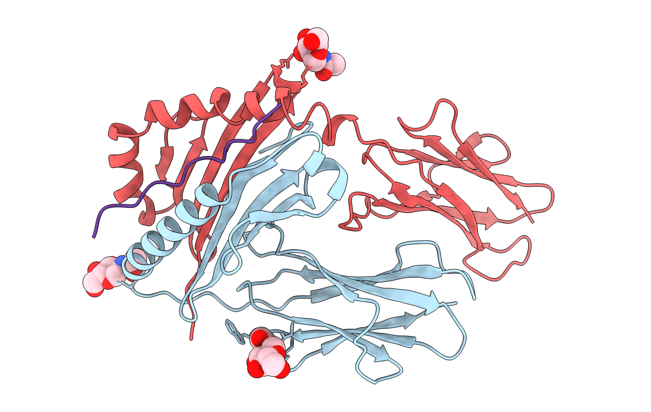 1IAK image