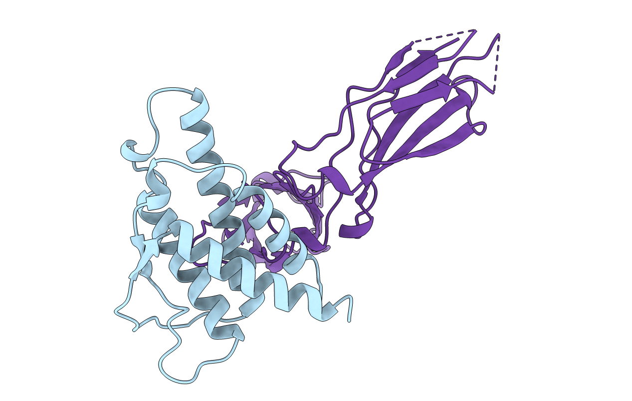 1iar image