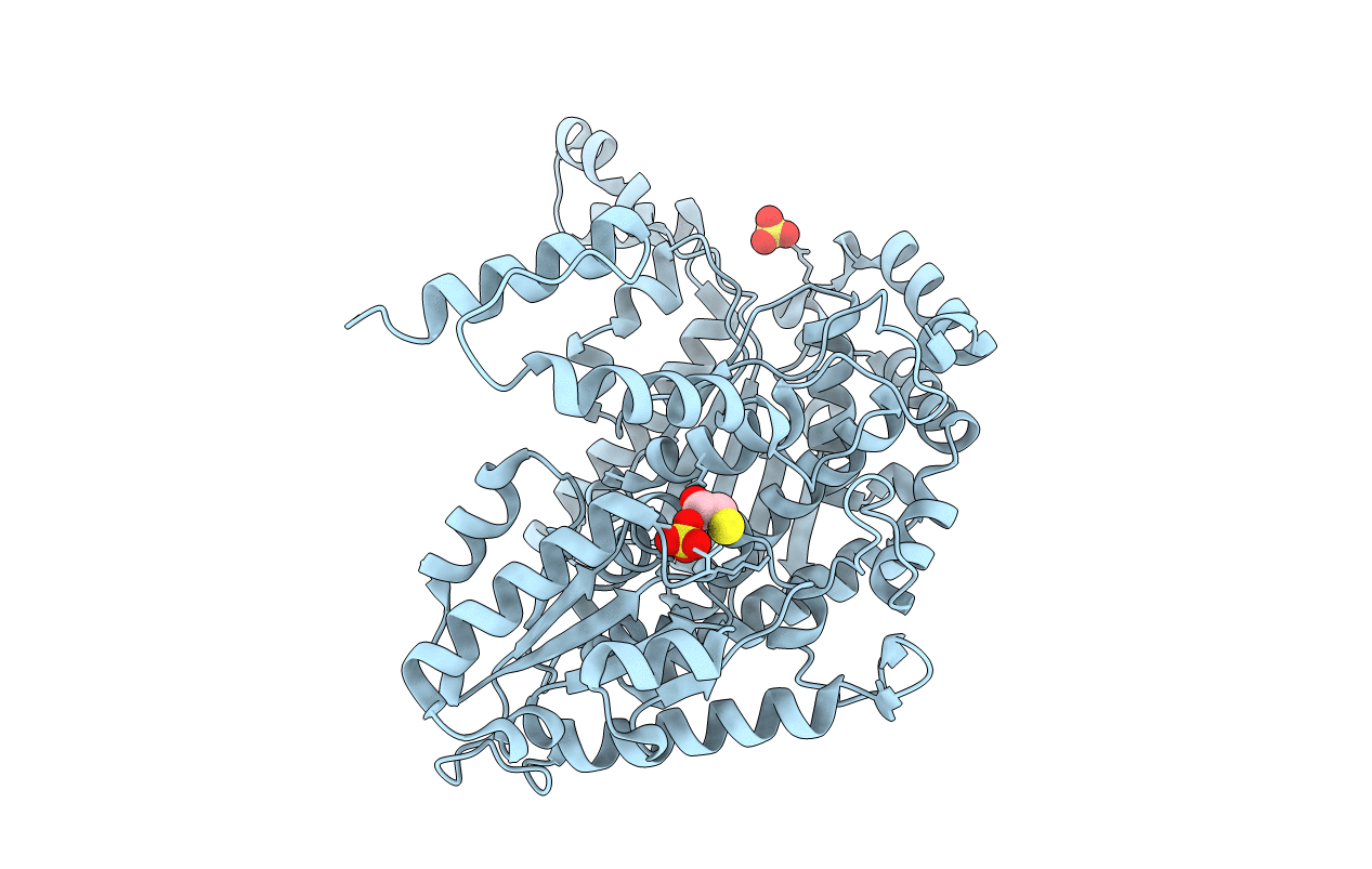 1IAT image