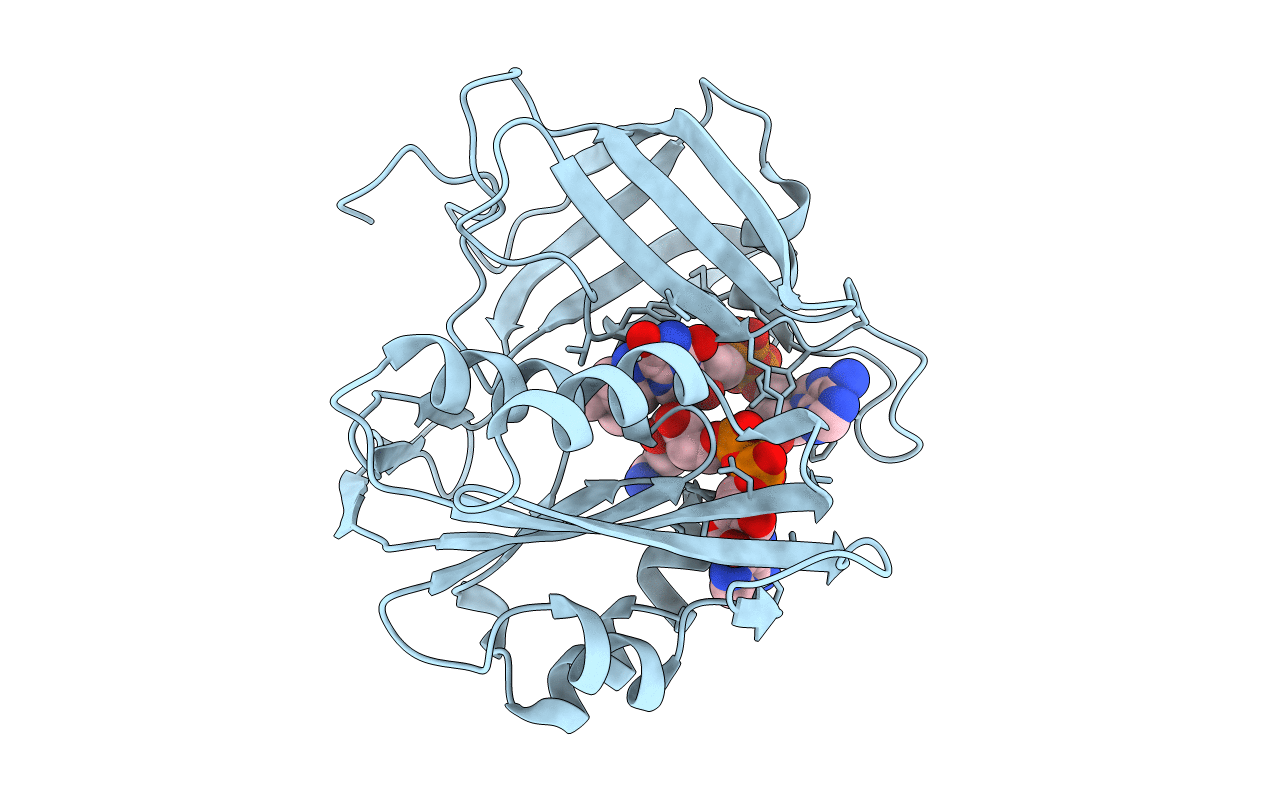 1IB0 image