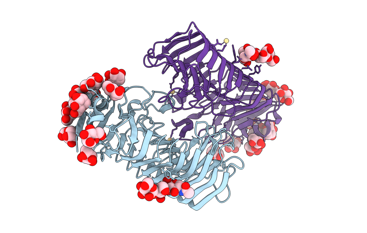 1IB4 image