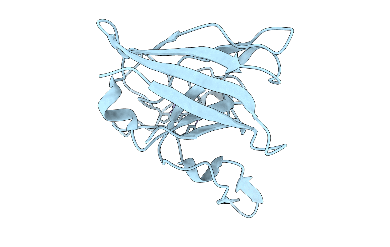 1IB5 image