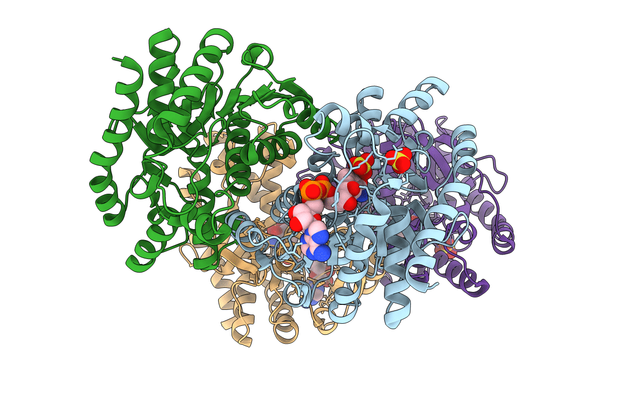 1IB6 image