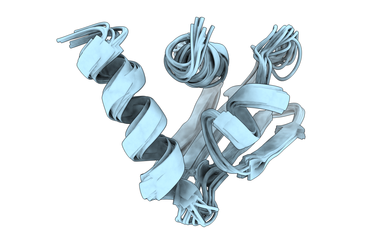 1IBA image