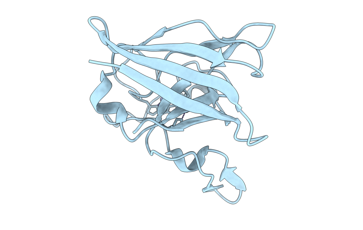 1IBB image