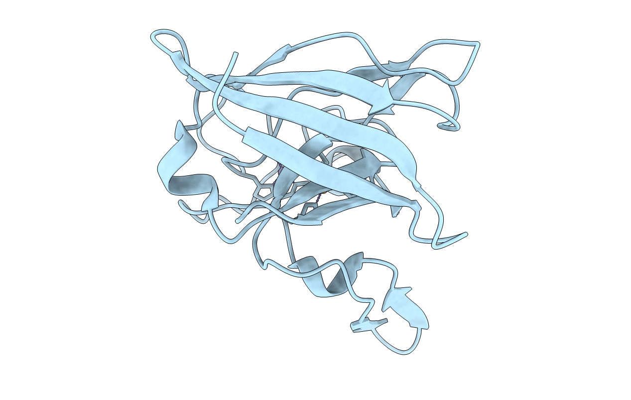 1IBH image