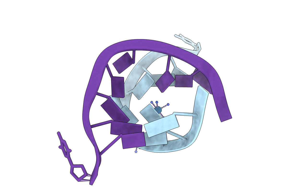 1ICG image