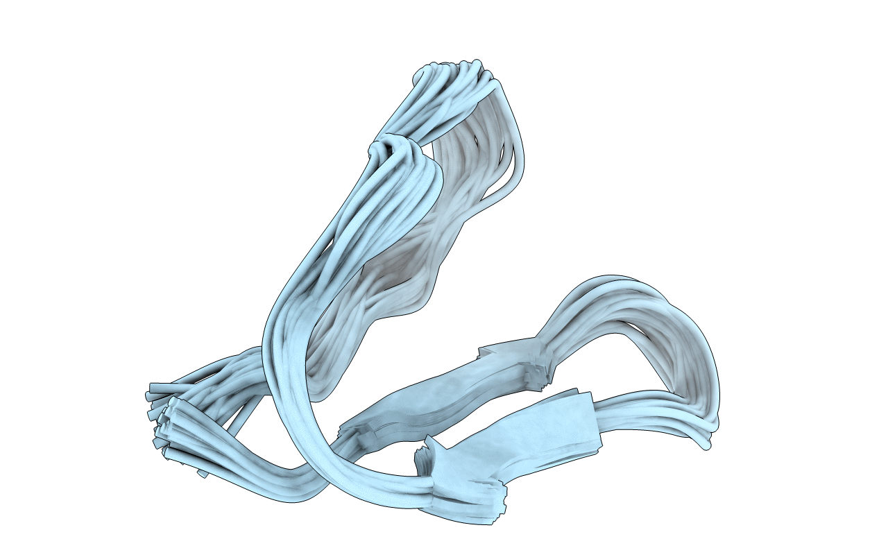 1ICL image