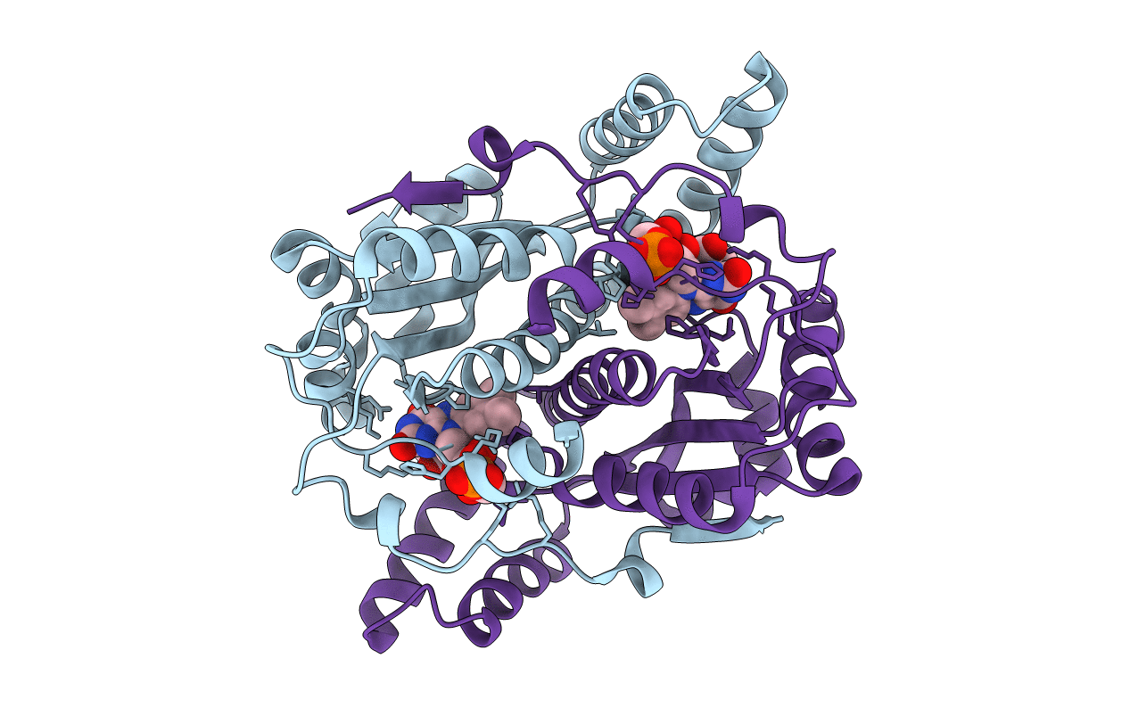 1ICR image