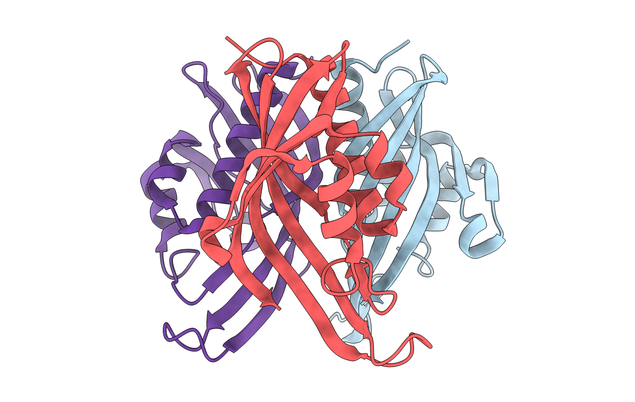 1IDP image