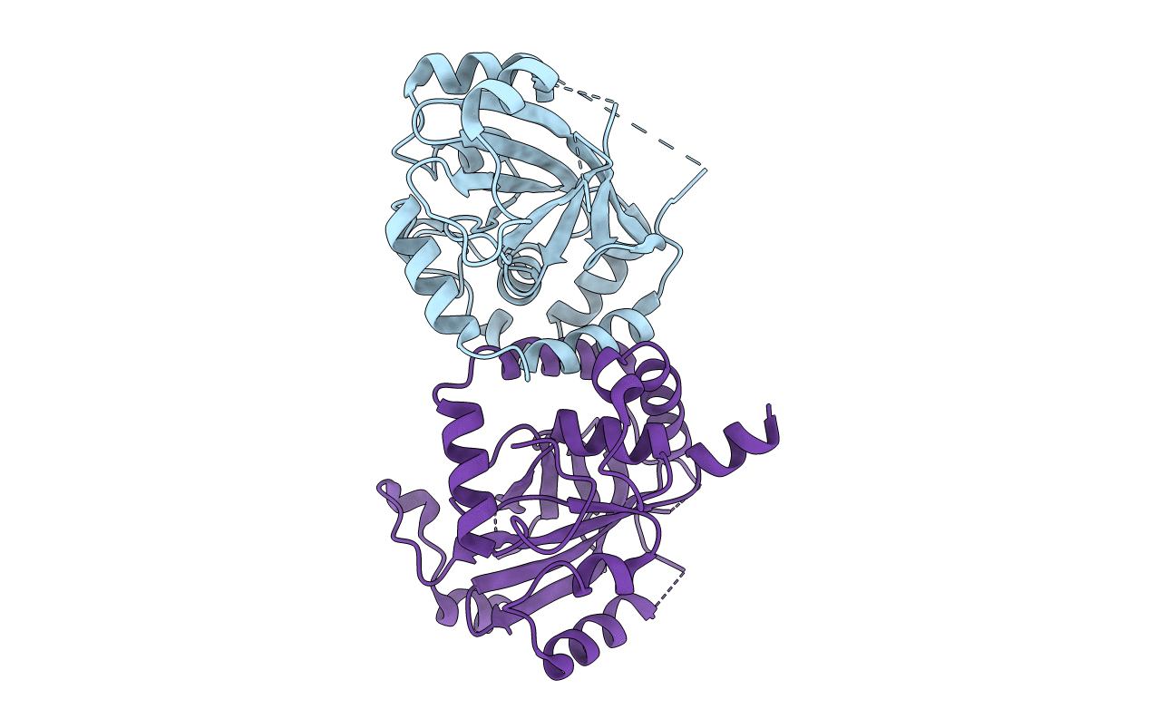 1IEF image