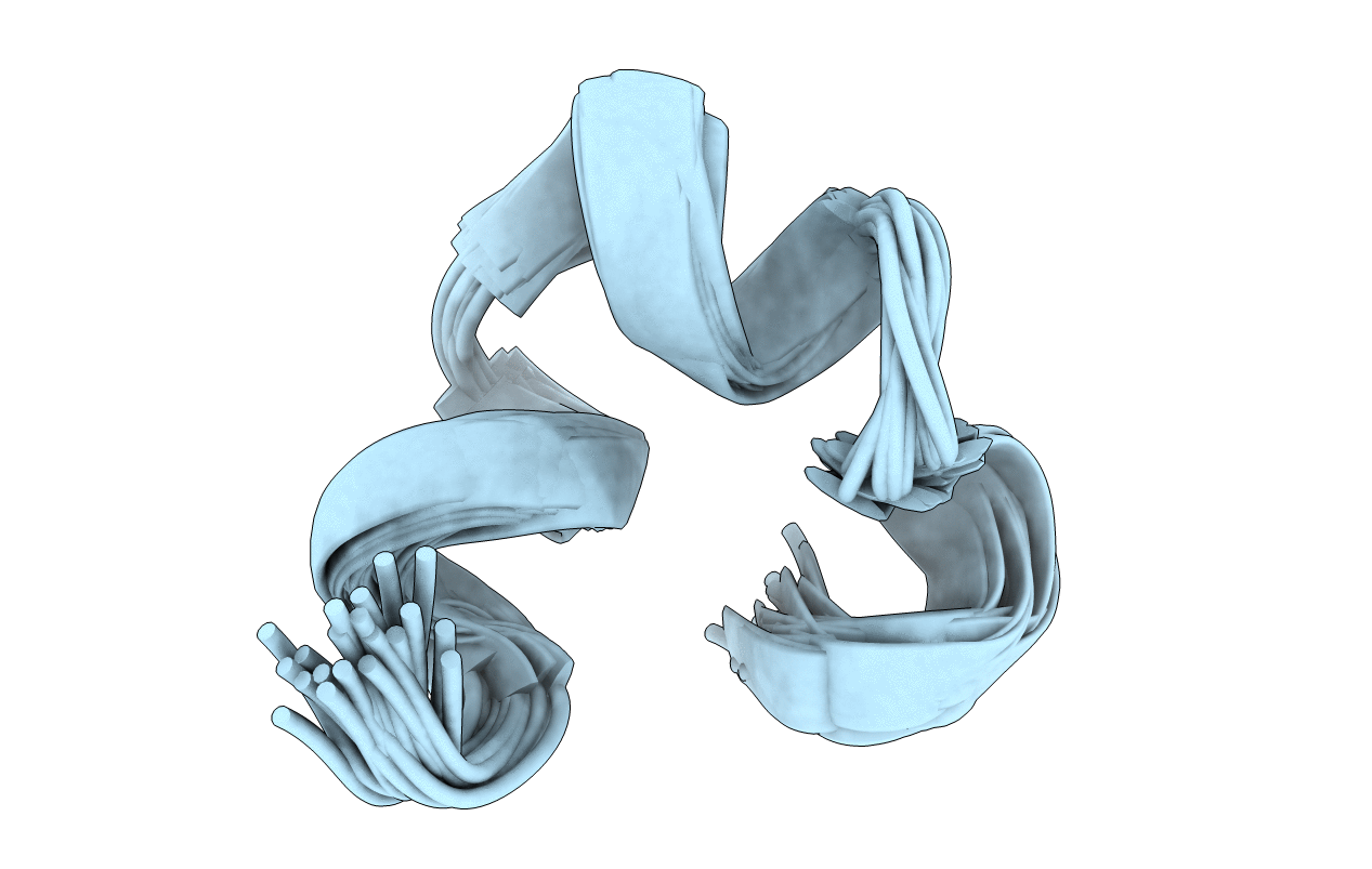 1IEN image