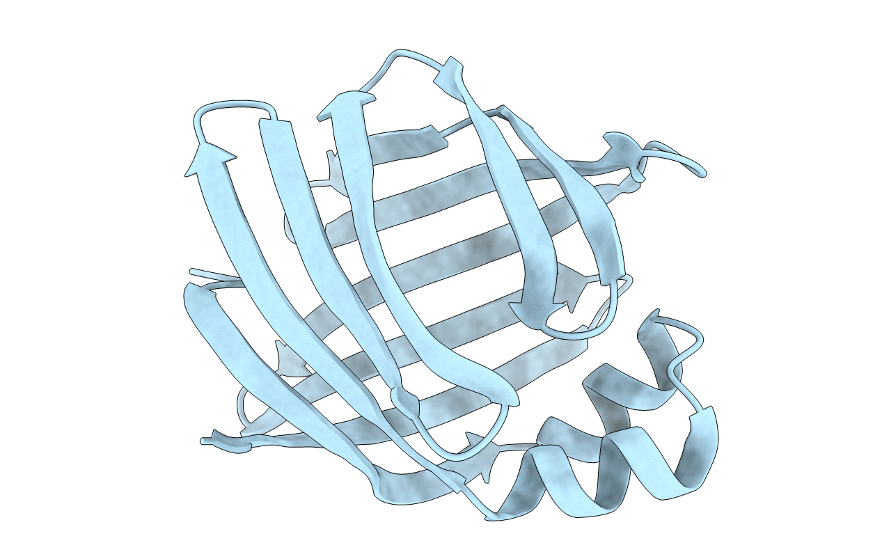1IFB image
