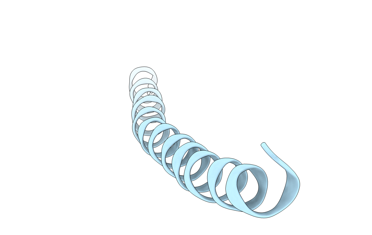 1IFM image