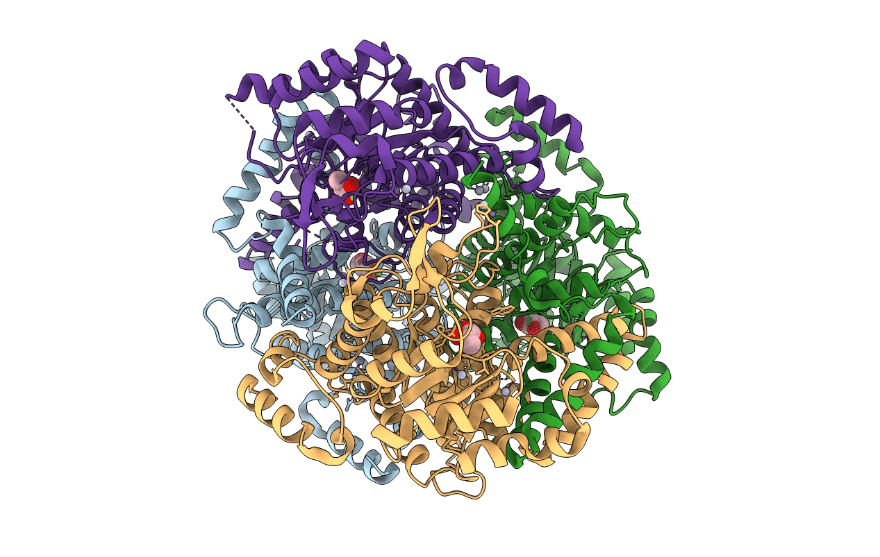 1IGW image