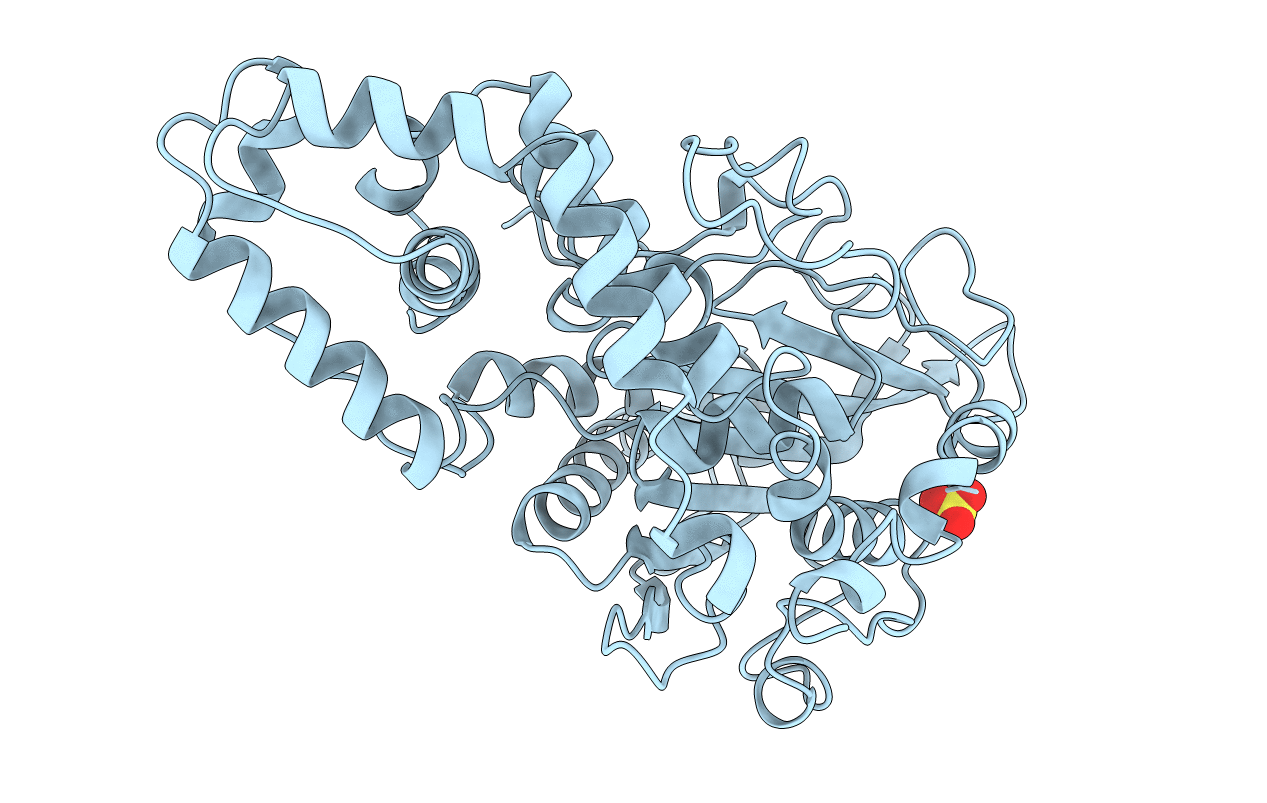 1ihp image