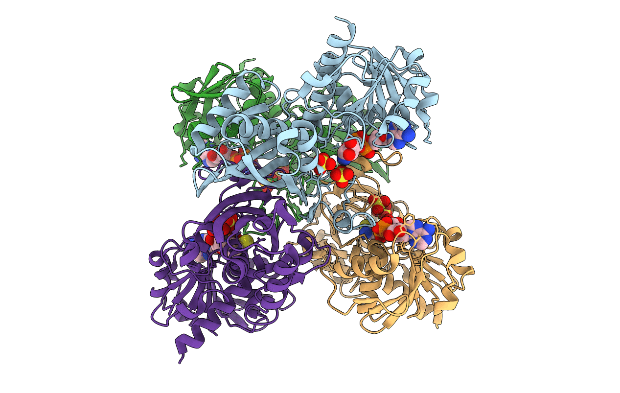1IHX image