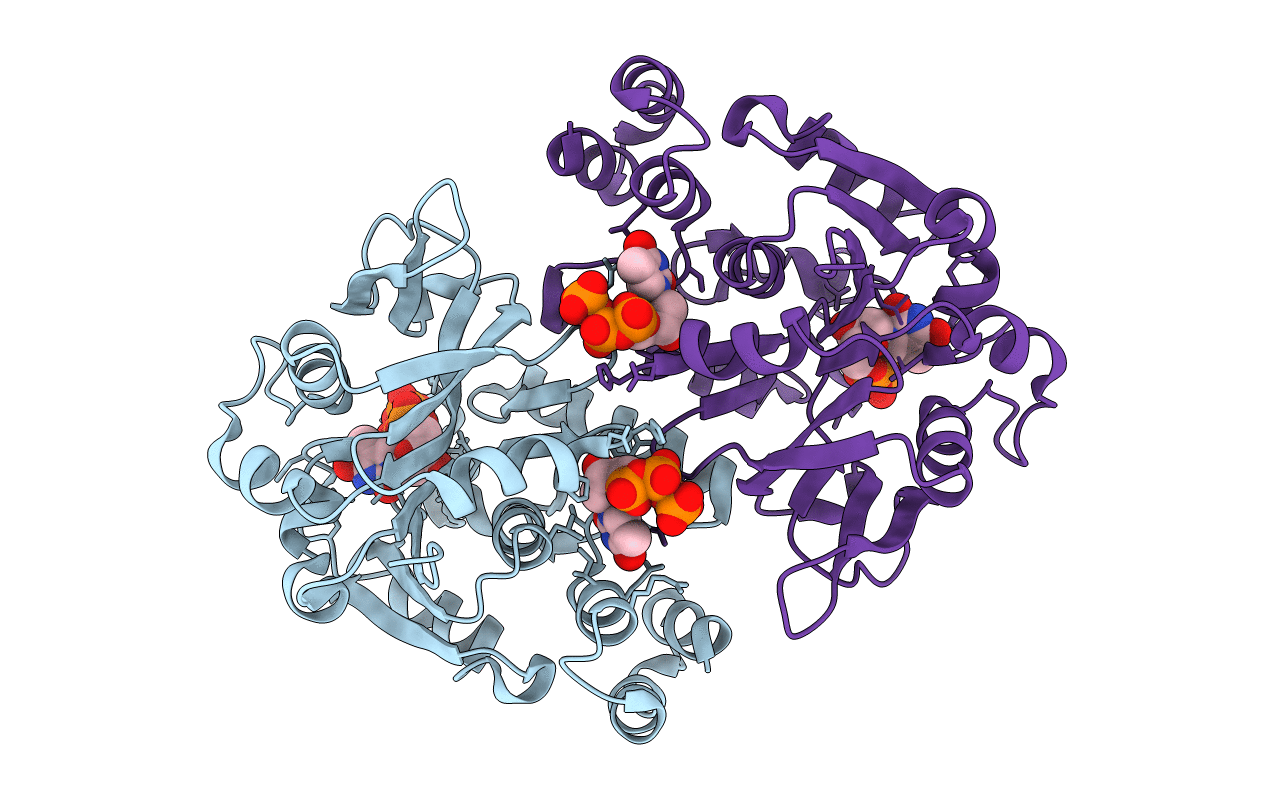 1IIM image