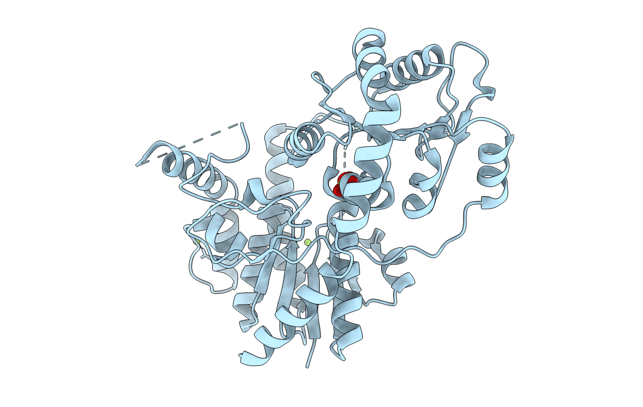 1IIR image